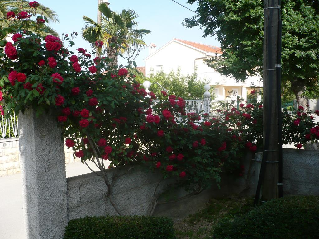 Rose Apartment Zadar Habitación foto